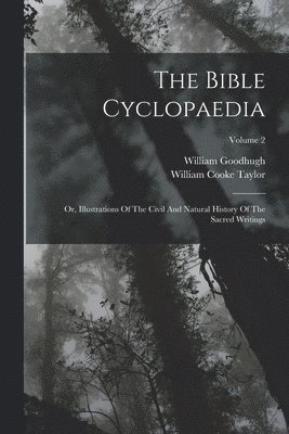bokomslag Bible Cyclopaedia