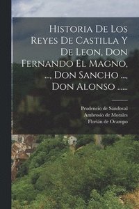 bokomslag Historia De Los Reyes De Castilla Y De Leon, Don Fernando El Magno, ..., Don Sancho ..., Don Alonso ......