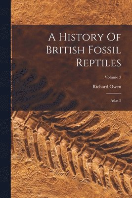 Richard Owen - History Of British Fossil Reptiles, Häftad
