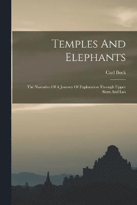 Temples And Elephants 1