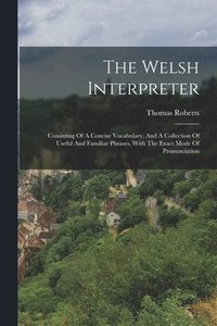 bokomslag The Welsh Interpreter
