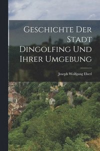 bokomslag Geschichte Der Stadt Dingolfing Und Ihrer Umgebung