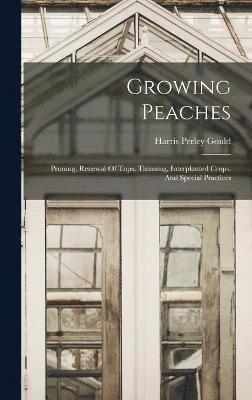 Growing Peaches 1