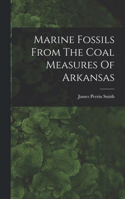 bokomslag Marine Fossils From The Coal Measures Of Arkansas