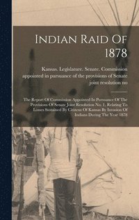 bokomslag Indian Raid Of 1878