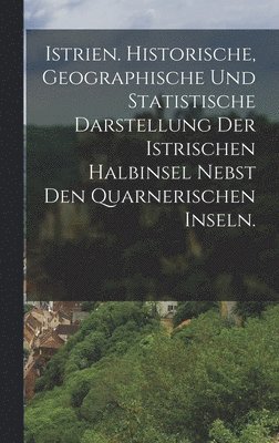 bokomslag Istrien. Historische, geographische und statistische Darstellung der istrischen Halbinsel nebst den Quarnerischen Inseln.