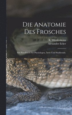 Anatomie des Frosches