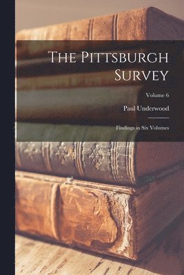 bokomslag Pittsburgh Survey; Findings in Six Volumes; Volume 6
