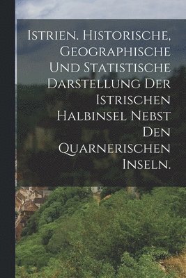 bokomslag Istrien. Historische, geographische und statistische Darstellung der istrischen Halbinsel nebst den Quarnerischen Inseln.