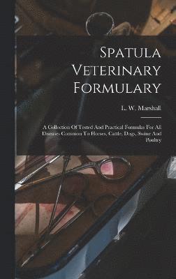 bokomslag Spatula Veterinary Formulary