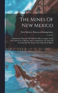 bokomslag The Mines Of New Mexico