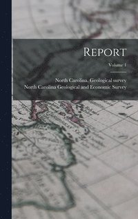 bokomslag Report; Volume 1