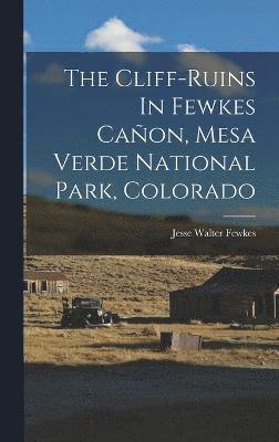 The Cliff-ruins In Fewkes Caon, Mesa Verde National Park, Colorado 1