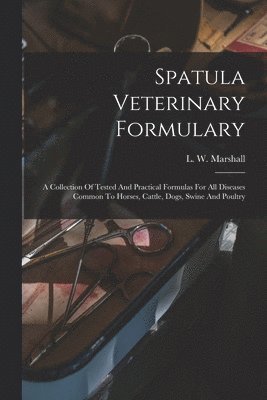 bokomslag Spatula Veterinary Formulary