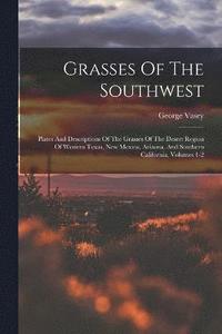 bokomslag Grasses Of The Southwest