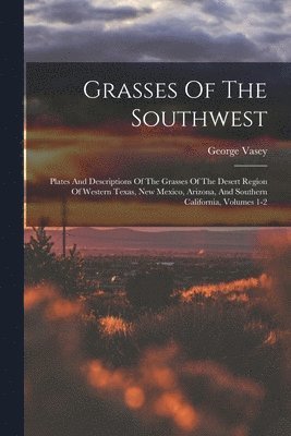 George Vasey - Grasses Of The Southwest, Häftad