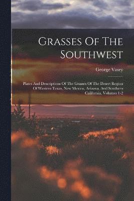 Grasses Of The Southwest 1
