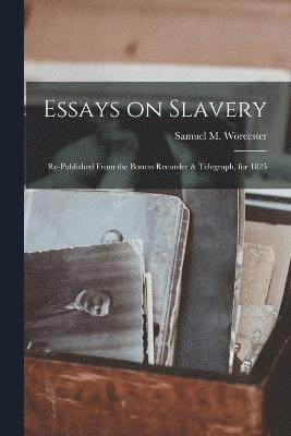 bokomslag Essays on Slavery