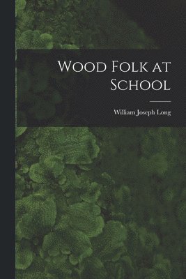 bokomslag Wood Folk at School