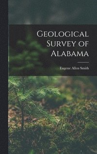 bokomslag Geological Survey of Alabama