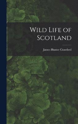 Wild Life of Scotland 1