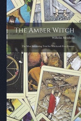 Wilhelm Meinhold - Amber Witch, Häftad