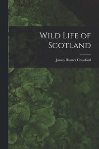 bokomslag Wild Life of Scotland