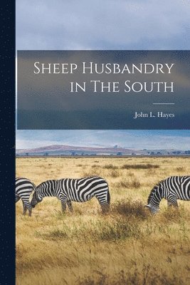John L Hayes - Sheep Husbandry in The South, Häftad