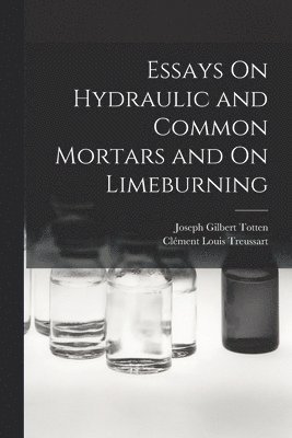 bokomslag Essays On Hydraulic and Common Mortars and On Limeburning