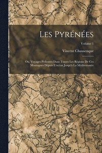 bokomslag Les Pyrnes; Ou, Voyages Pdestres Dans Toutes Les Rgions De Ces Montagnes Dpuis L'ocan Jusqu' La Mditerrane; Volume 1