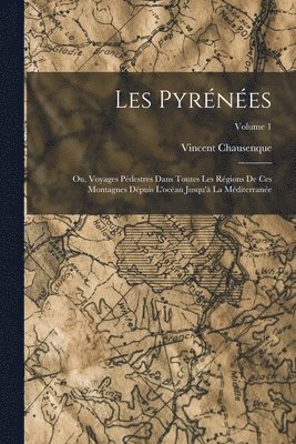 bokomslag Les Pyrénées; Ou, Voyages Pédestres Dans Toutes Les Régions De Ces Montagnes Dépuis L'océan Jusqu'à La Méditerranée; Volume 1