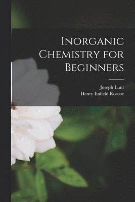 bokomslag Inorganic Chemistry for Beginners