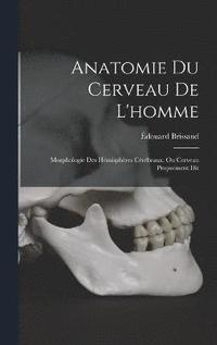 bokomslag Anatomie Du Cerveau De L'homme