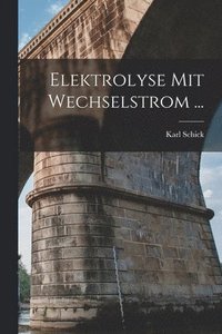 bokomslag Elektrolyse Mit Wechselstrom ...