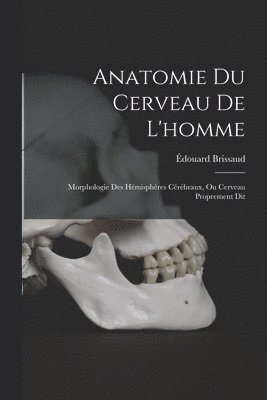 bokomslag Anatomie Du Cerveau De L'homme