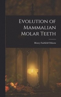 bokomslag Evolution of Mammalian Molar Teeth