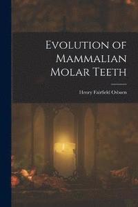 bokomslag Evolution of Mammalian Molar Teeth