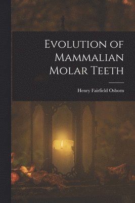 bokomslag Evolution of Mammalian Molar Teeth