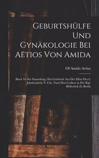 bokomslag Geburtshlfe Und Gynkologie Bei Atios Von Amida