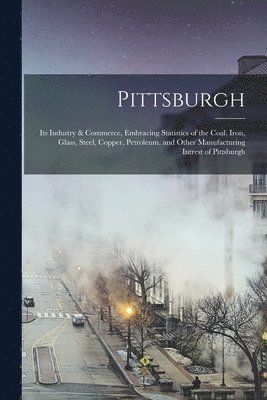 bokomslag Pittsburgh