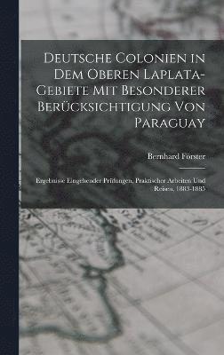 Deutsche Colonien in dem oberen Laplata-Gebiete mit besonderer Bercksichtigung von Paraguay 1