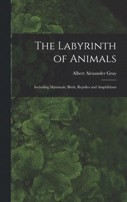 The Labyrinth of Animals 1