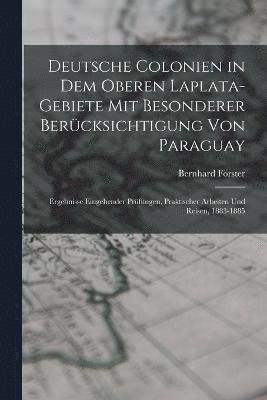 bokomslag Deutsche Colonien in dem oberen Laplata-Gebiete mit besonderer Berücksichtigung von Paraguay