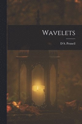 bokomslag Wavelets