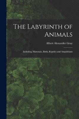 bokomslag The Labyrinth of Animals