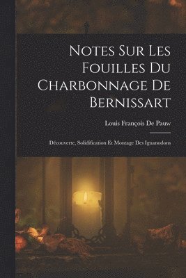 bokomslag Notes Sur Les Fouilles Du Charbonnage De Bernissart