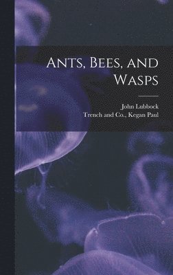 bokomslag Ants, Bees, and Wasps