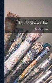 bokomslag Pinturicchio