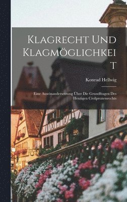 bokomslag Klagrecht und Klagmglichkeit