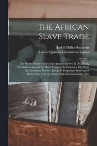 bokomslag The African Slave Trade